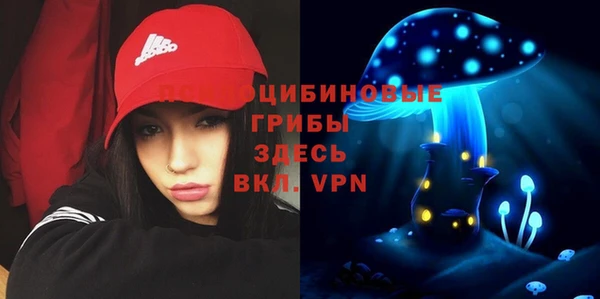 прущие крисы Алексеевка