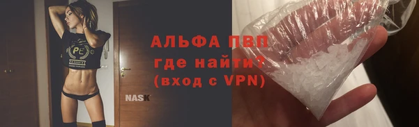 шишки Алзамай