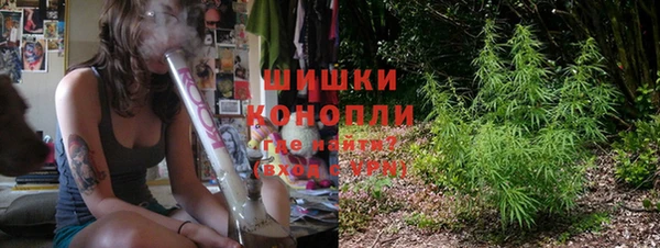 шишки Алзамай