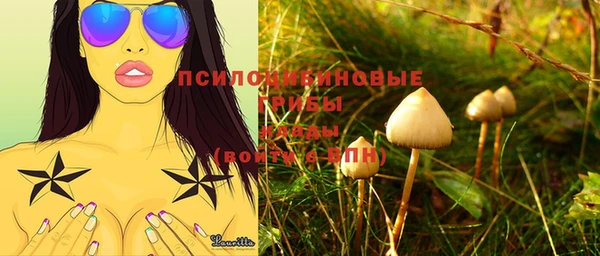 шишки Алзамай