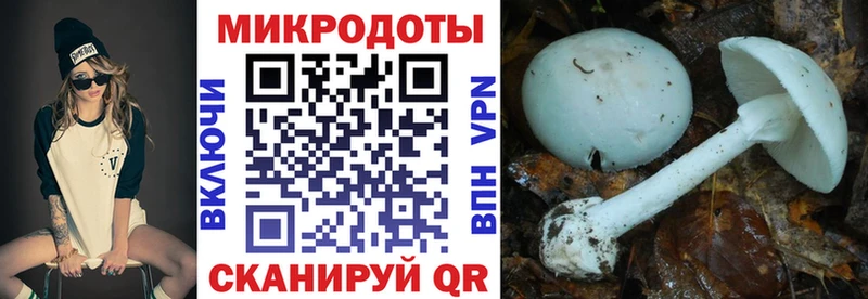 hydra ССЫЛКА  shop клад  Талдом  Галлюциногенные грибы GOLDEN TEACHER  купить закладку 