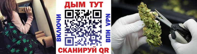 Бошки Шишки семена  сколько стоит  Талдом 
